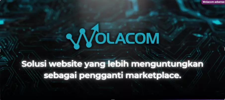 jasa website marketplace