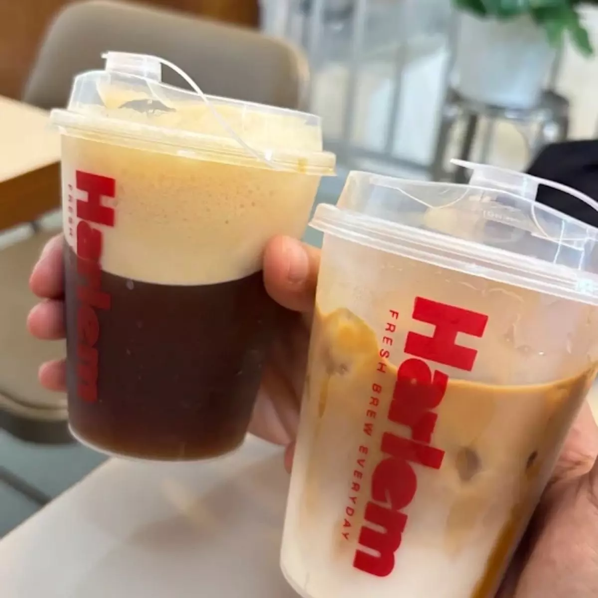 Alasan Toko Kopi Harlem Menarik untuk Dikunjungi